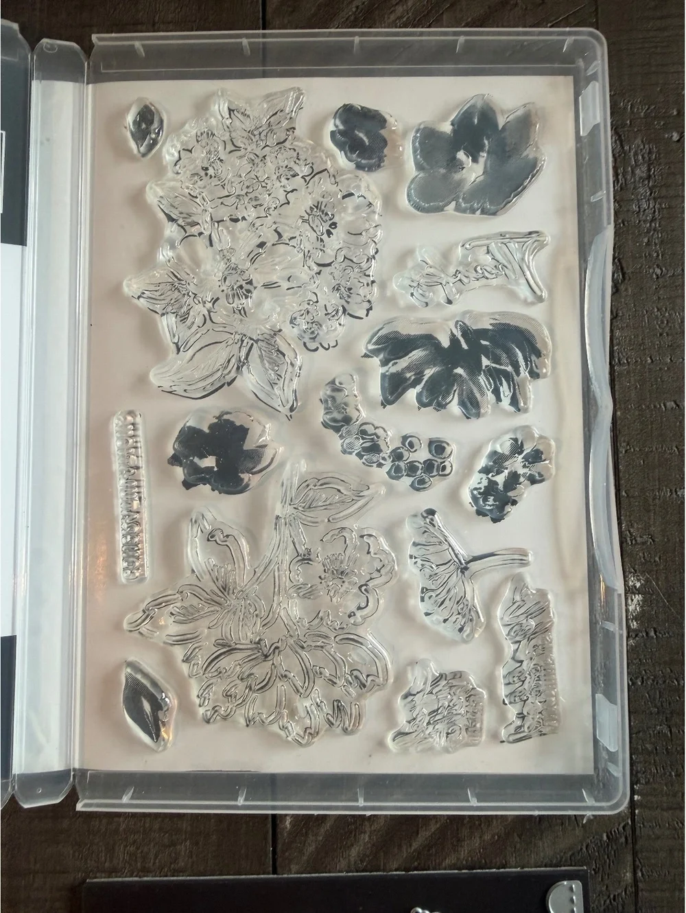 Stampin’ Up Hand-Penned Petals stamp set with Penned Flowers Dies die cut set